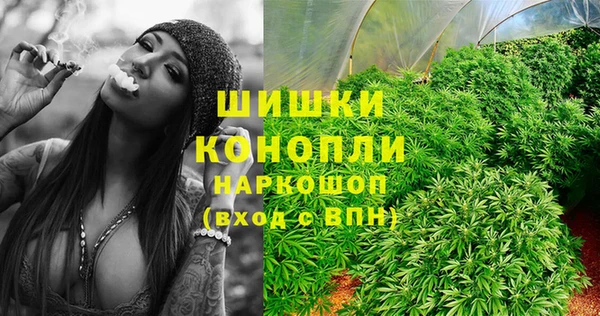 сатива Аркадак
