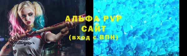 сатива Аркадак