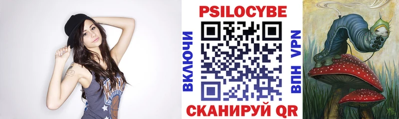 Галлюциногенные грибы Psilocybe  закладка  Спасск-Дальний 